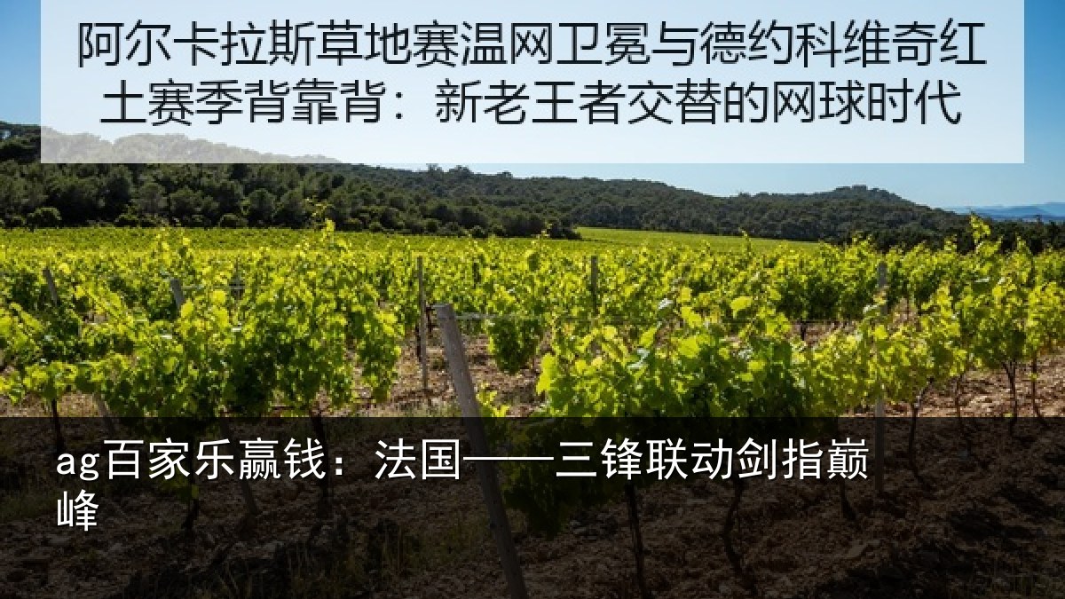 ag百家乐赢钱：法国——三锋联动剑指巅峰