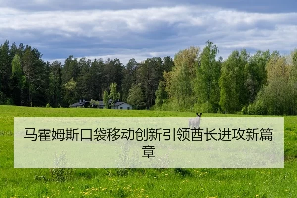 ma-huo-mu-si-kou-dai-yi-dong-chuang-xin-yin-ling-qiu-zhang-jin-gong-xin-pian-zhang-2-284.jpg