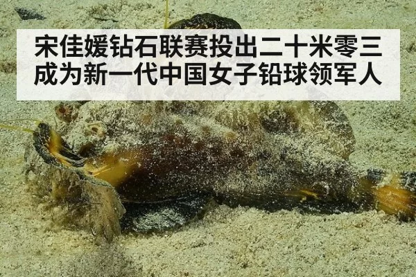 宋佳媛钻石联赛投出二十米零三成为新一代中国女子铅球领军人